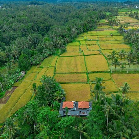 The Alus Cottage And Villa Ubud Exterior foto
