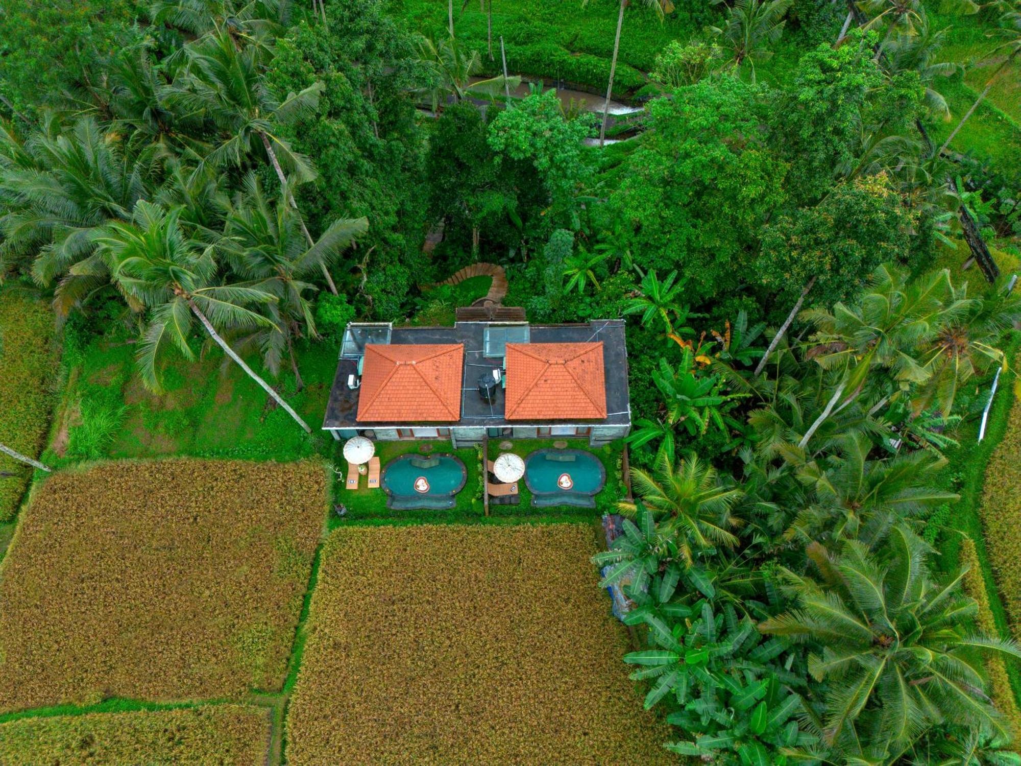 The Alus Cottage And Villa Ubud Exterior foto